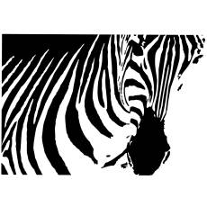 Wandtattoo Afrika Zebra Savanne
