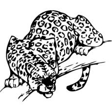 Wandtattoo Afrika Leopard - Nr.2