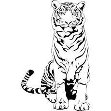 Wandtattoo Tiere Tiger - Nr.2 XXL
