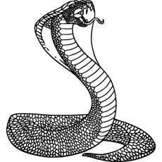 Wandtattoo Schlange Cobra